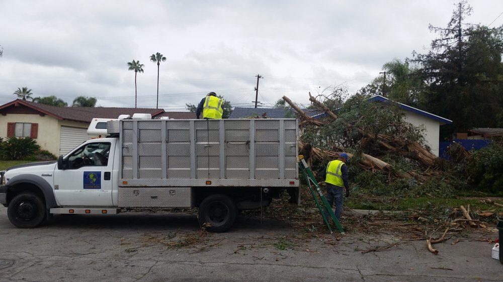 Planet Tree Service branded truck and crew on a storm clean-up